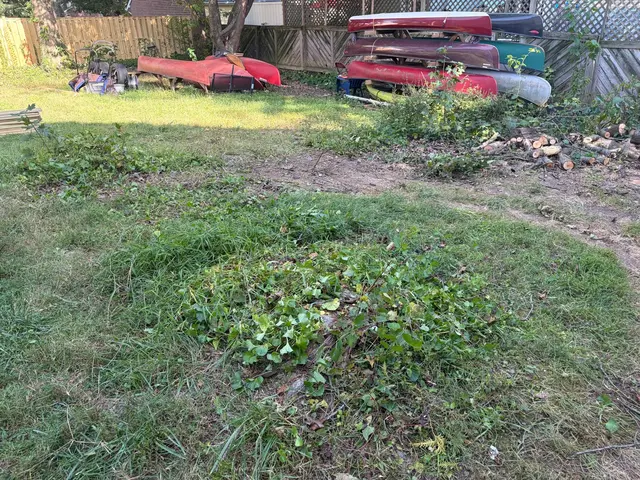 The same area after debris removal, with canoes, logs and vegetation remaining.